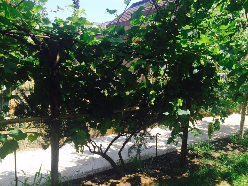 Hotel Aloha House Formia Zewnętrze zdjęcie